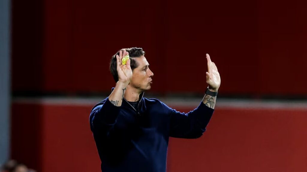 Fernando Torres